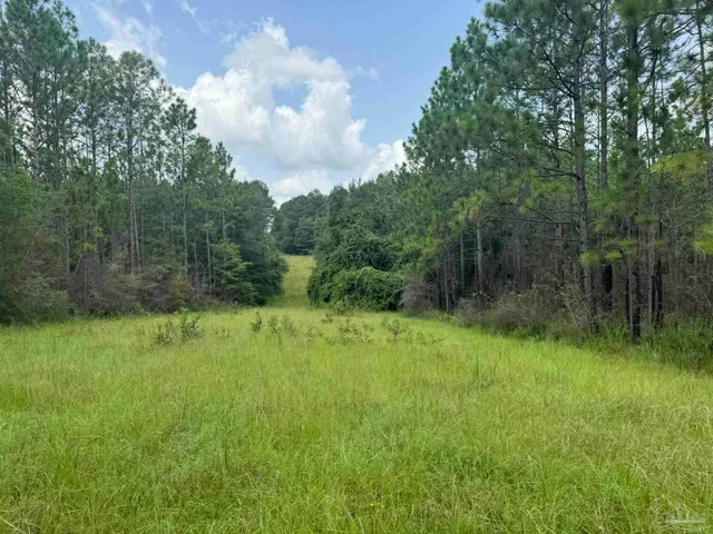 $2,925,209 | 0 Nokomis Road, Walnut Hill, FL 32568