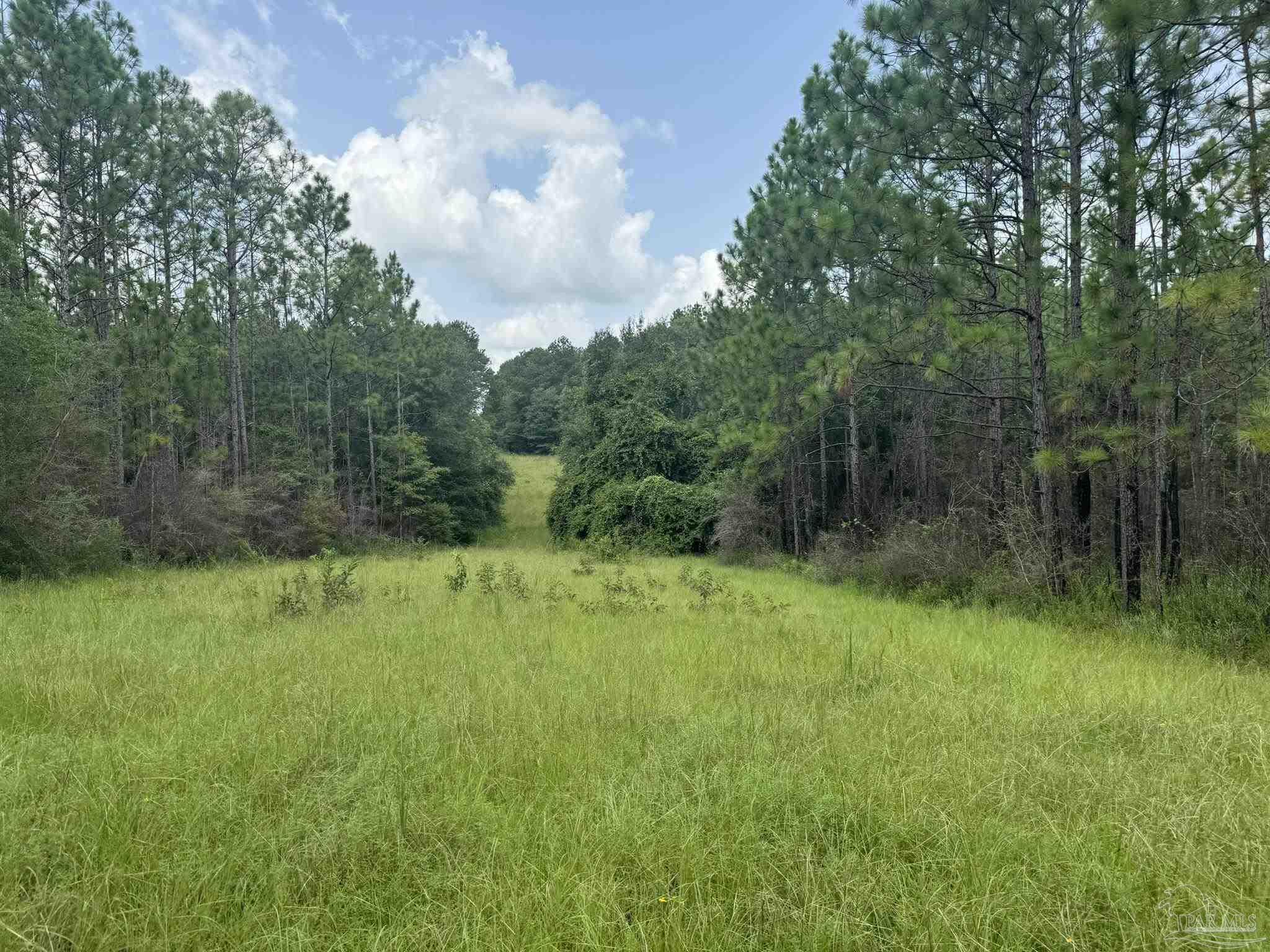 0 Nokomis Road Walnut Hill, FL 32568 - Photo 6 of 51