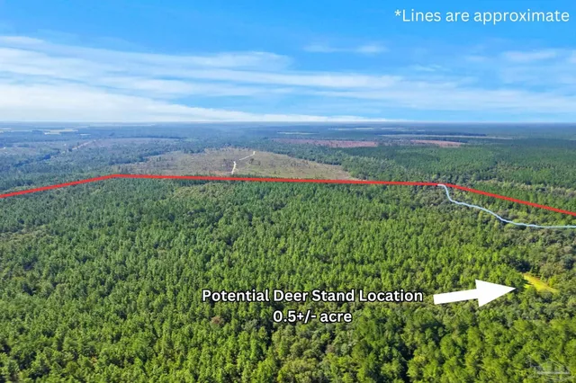 $2,925,209 | 0 Nokomis Road, Walnut Hill, FL 32568