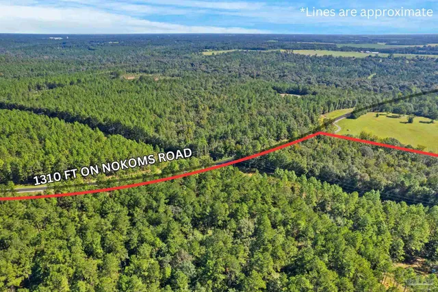 $2,925,209 | 0 Nokomis Road, Walnut Hill, FL 32568