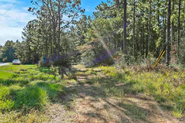 $2,925,209 | 0 Nokomis Road, Walnut Hill, FL 32568