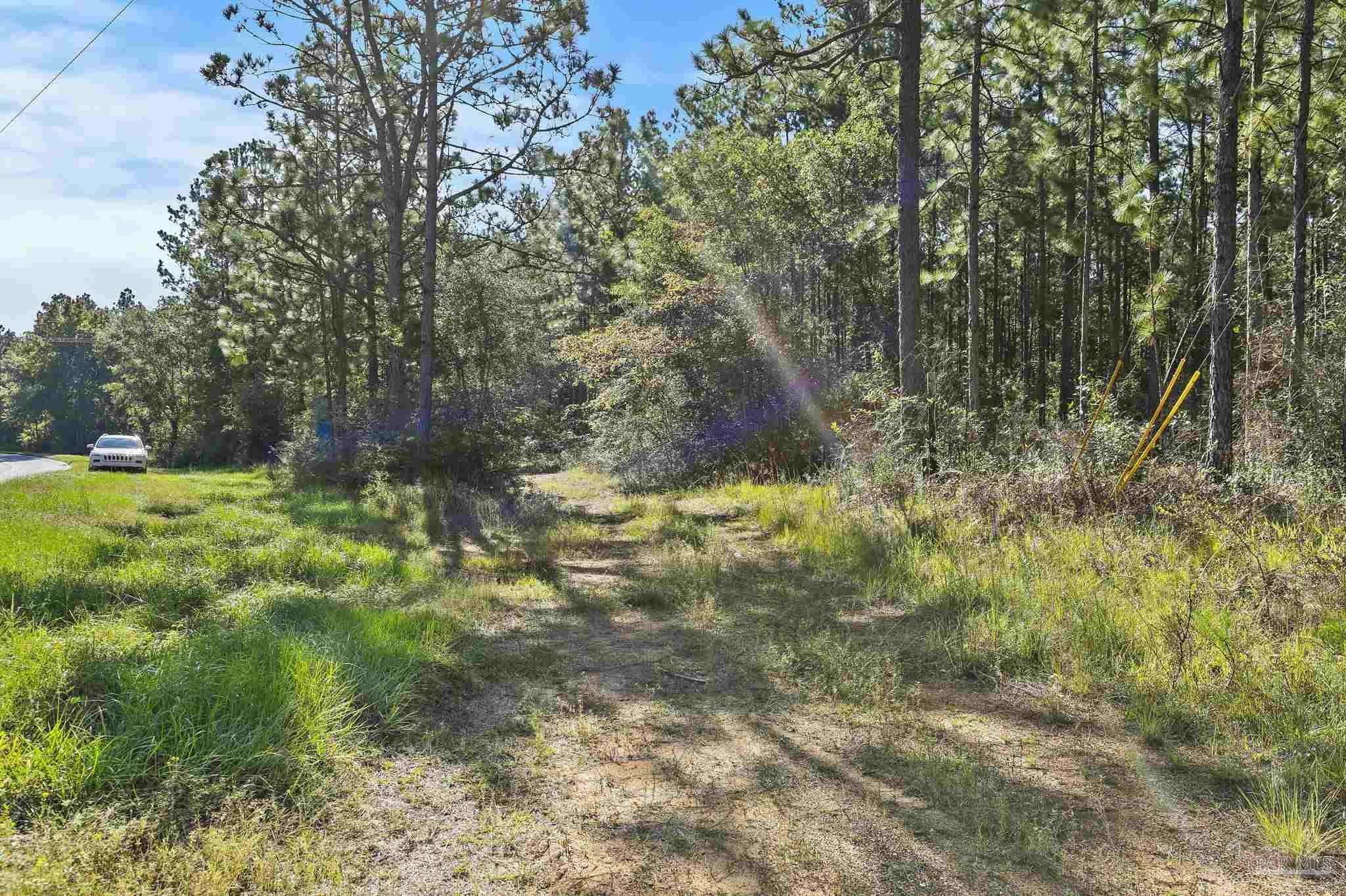 0 Nokomis Road Walnut Hill, FL 32568 - Photo 10 of 51