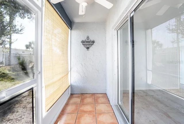 a view of a garden with a tree