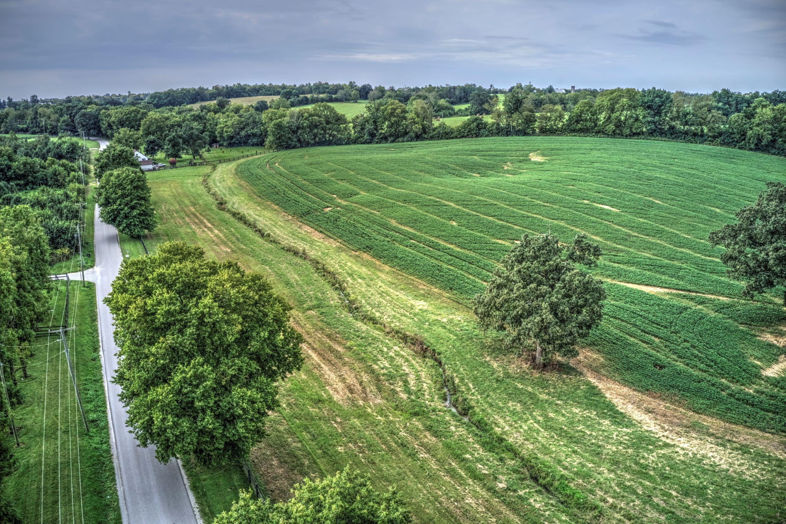 250 Redmon Road Paris, KY 40361 - Photo 11 of 22 DJI_0528 250 Redmon Road Paris resized