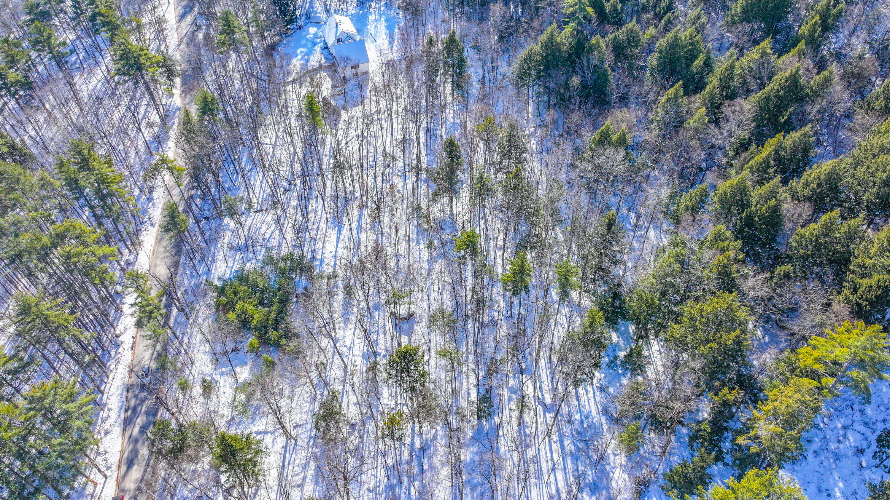 Map19-lot5b Mountain Road Denmark, ME 04022 - Photo 5 of 11 mountain road land 1-24-2025-23