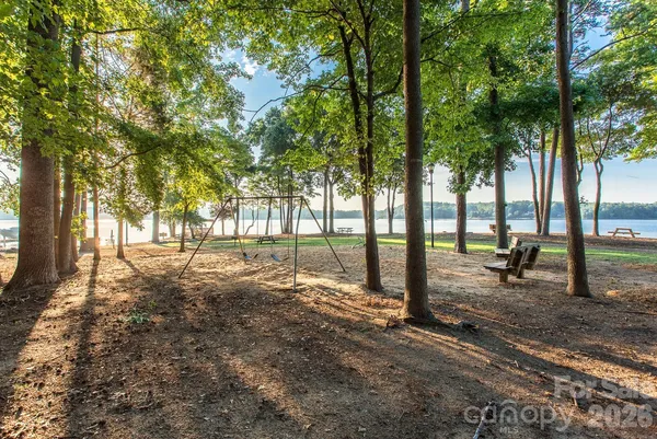 a view of a backyard with large trees