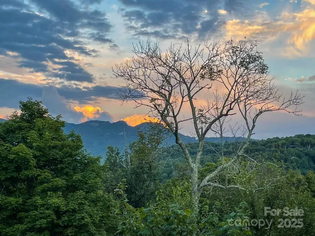 an aerial view of mountain with yard