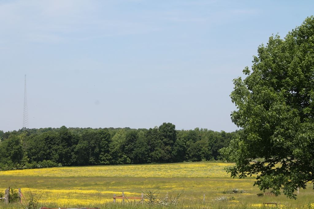 0 Shemwell Road Sharon Grove, KY 42280 - Photo 1 of 1 Gallery Image 1