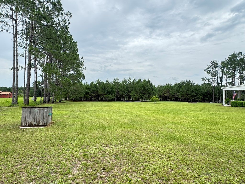 158 Empress Road Quitman, GA 31643 - Photo 59 of 68 Gallery Image 59