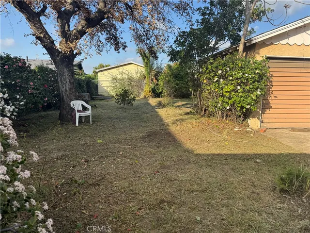 a view of a backyard with a tree