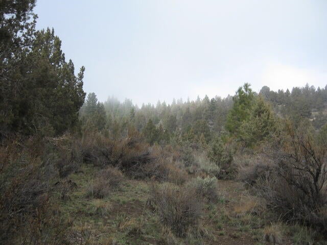 Drews Road Chiloquin, OR 97624 - Photo 8 of 20 8