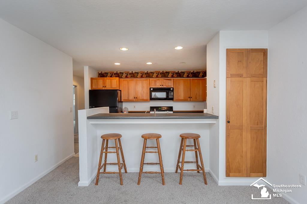 7130 Robinson Road Petersburg, MI 49270 - Photo 14 of 55