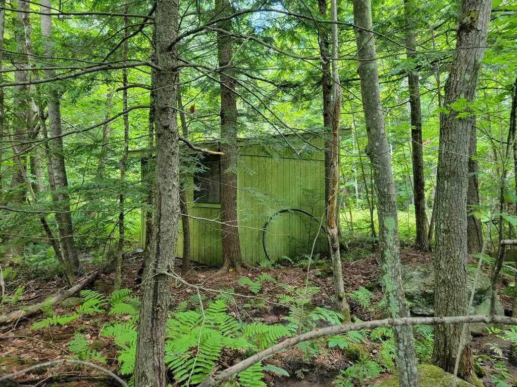 17 Iisalo Road Temple, ME 04984 - Photo 9 of 30 363895855_161857076923262_26597324443273
