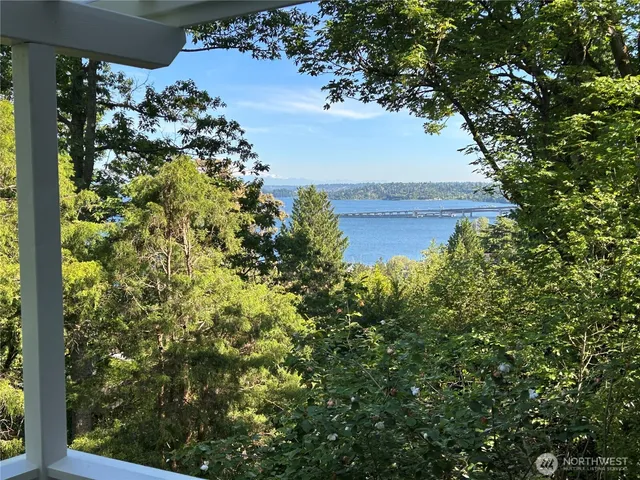 a view of a bunch of flowers