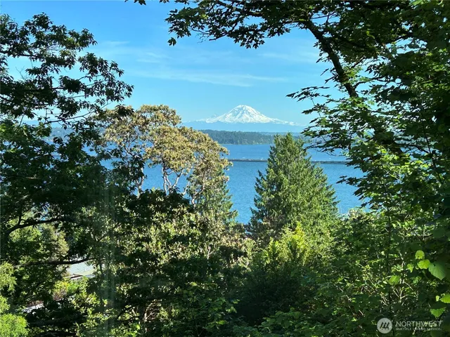 a view of a garden with a lake