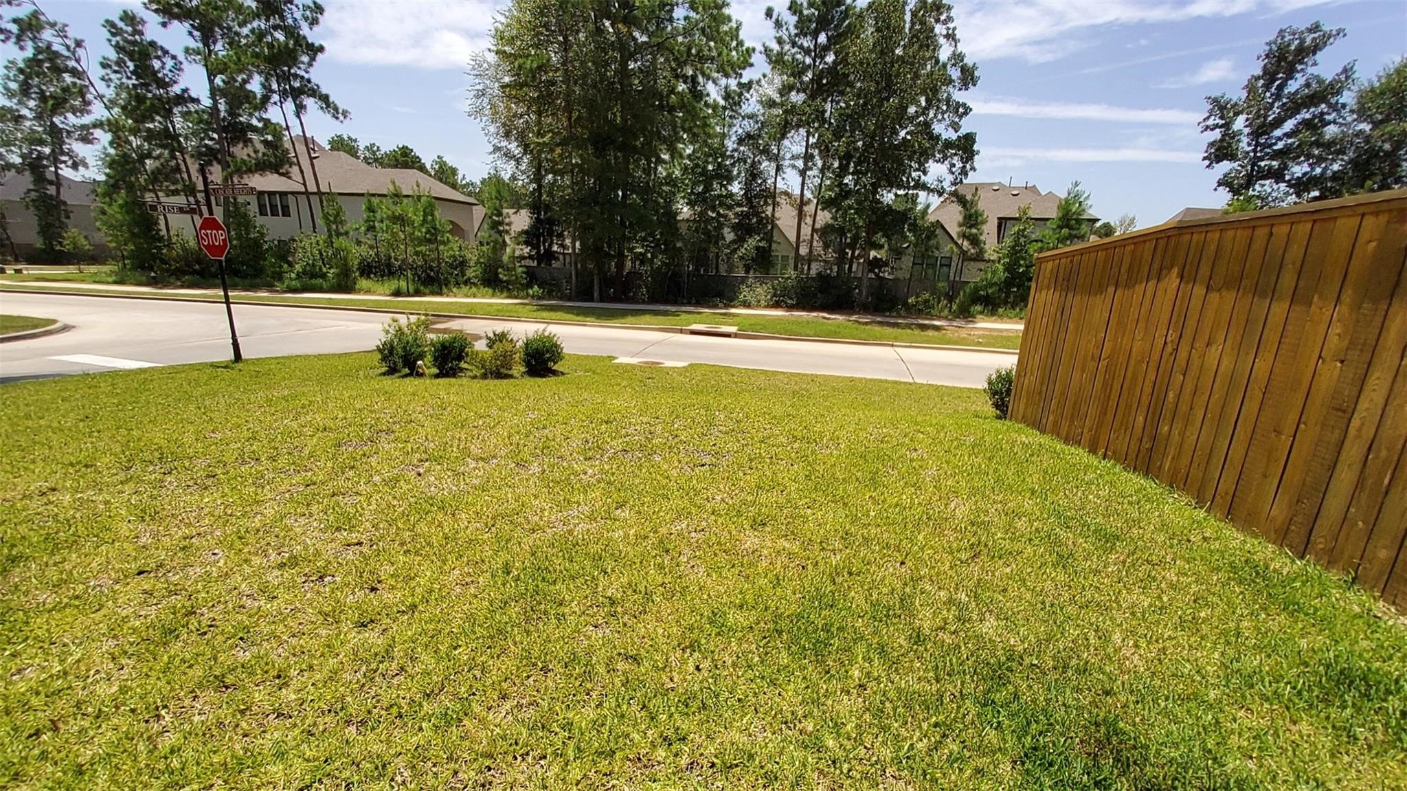 305 Rise Lane Montgomery, TX 77316 - Photo 44 of 48