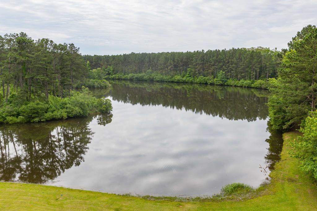 11702 Dallas Mill Road Pine Mountain, GA 31822 - Photo 16 of 70 Gallery Image 16