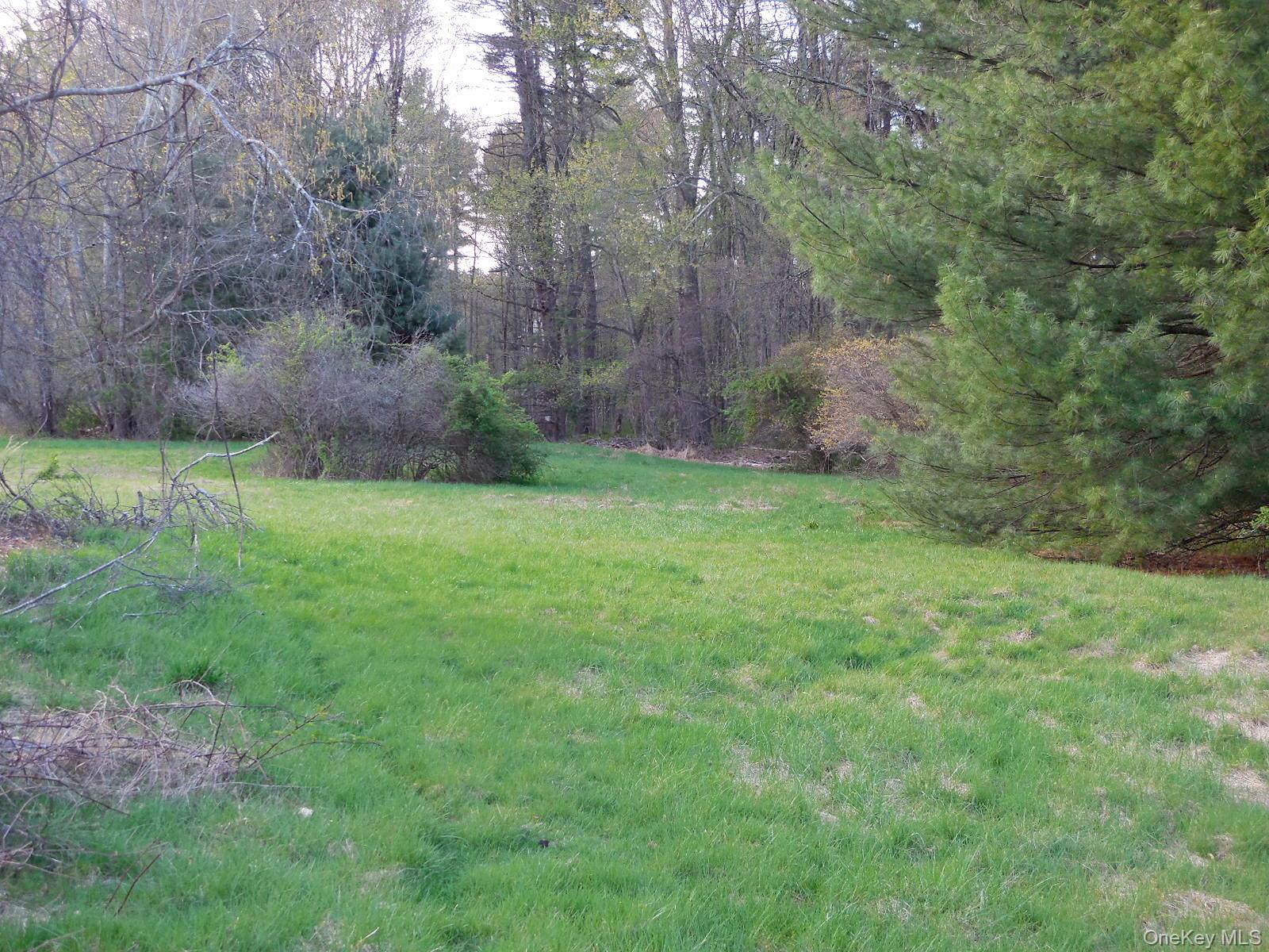 617 Burlingham Road Bloomingburg, NY 12721 - Photo 30 of 39 Rear yard.