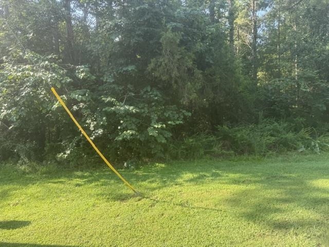 4 Carroll Hollow Road Waynesboro, TN 38485 - Photo 30 of 32 Gallery Image 30