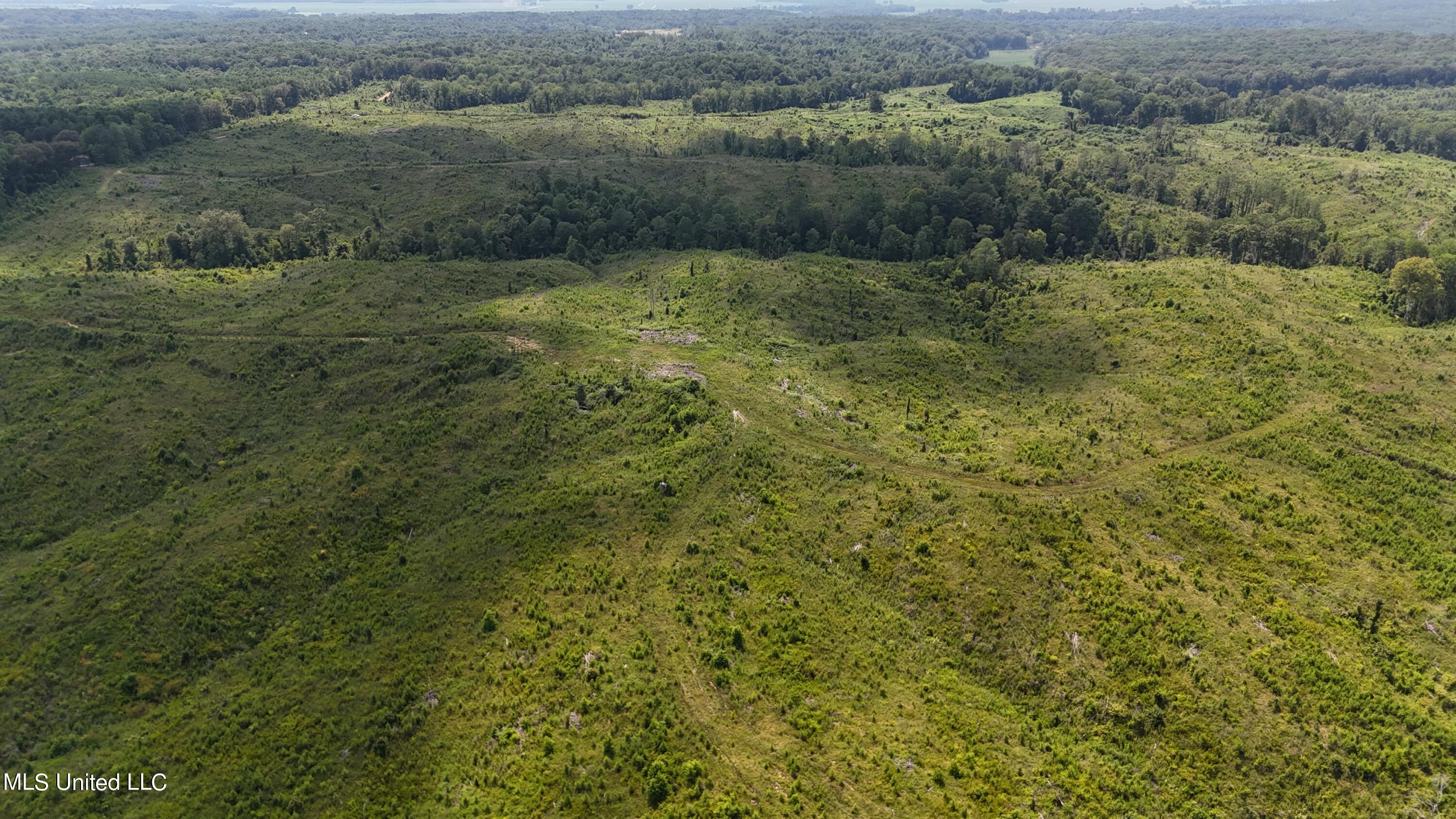 75 Co Road Cruger, MS 38924 - Photo 11 of 51 dji_fly_20240712_152544_0136_17208166272
