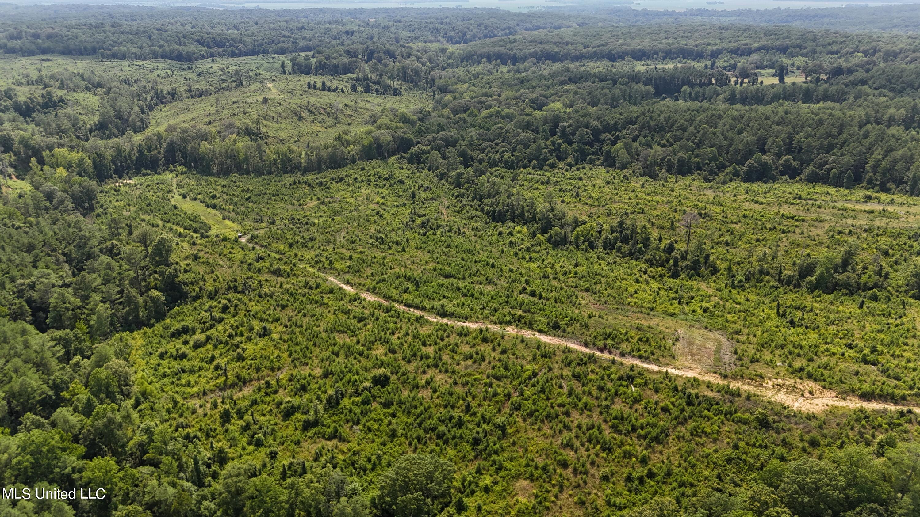 75 Co Road Cruger, MS 38924 - Photo 13 of 51 dji_fly_20240712_152712_0138_17208166304