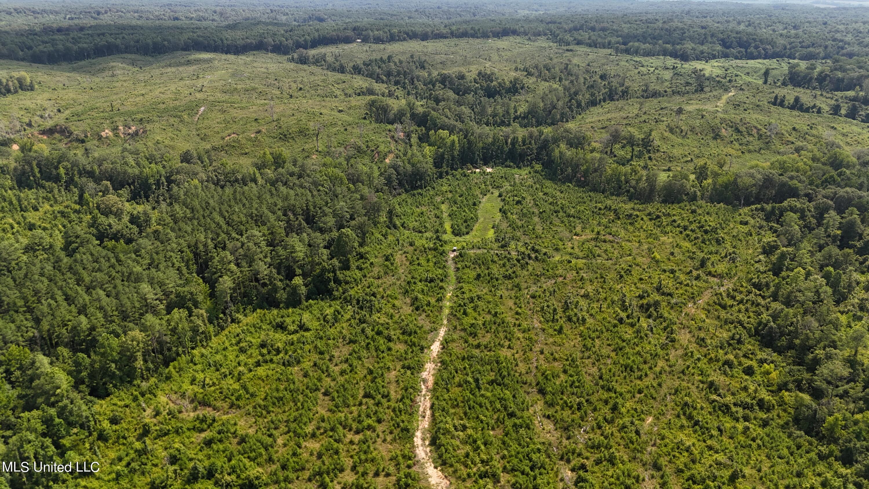 75 Co Road Cruger, MS 38924 - Photo 14 of 51 dji_fly_20240712_152736_0139_17208166320