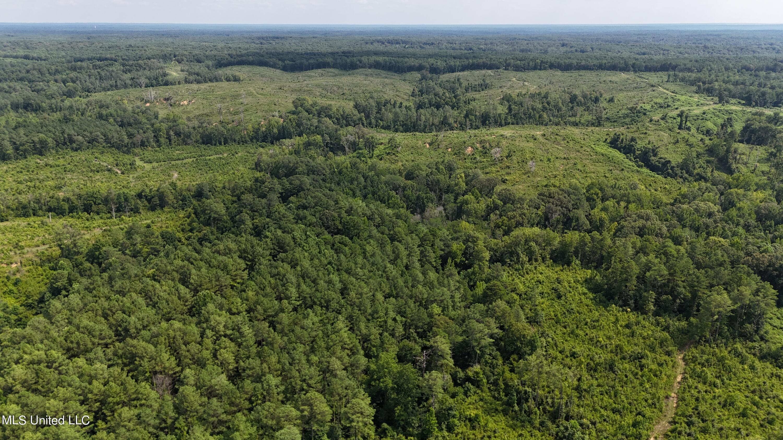 75 Co Road Cruger, MS 38924 - Photo 16 of 51 dji_fly_20240712_152908_0141_17208166351