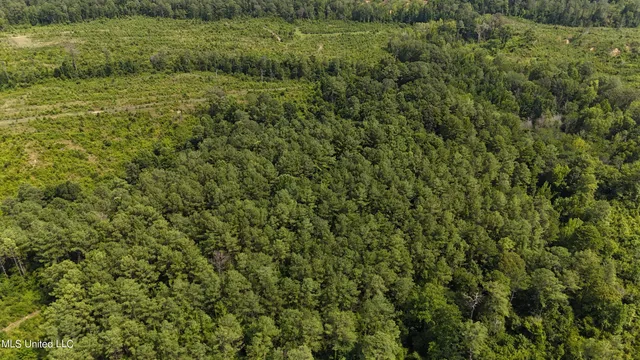 $1,015,250 | 75 Co Road, Cruger, MS 38924