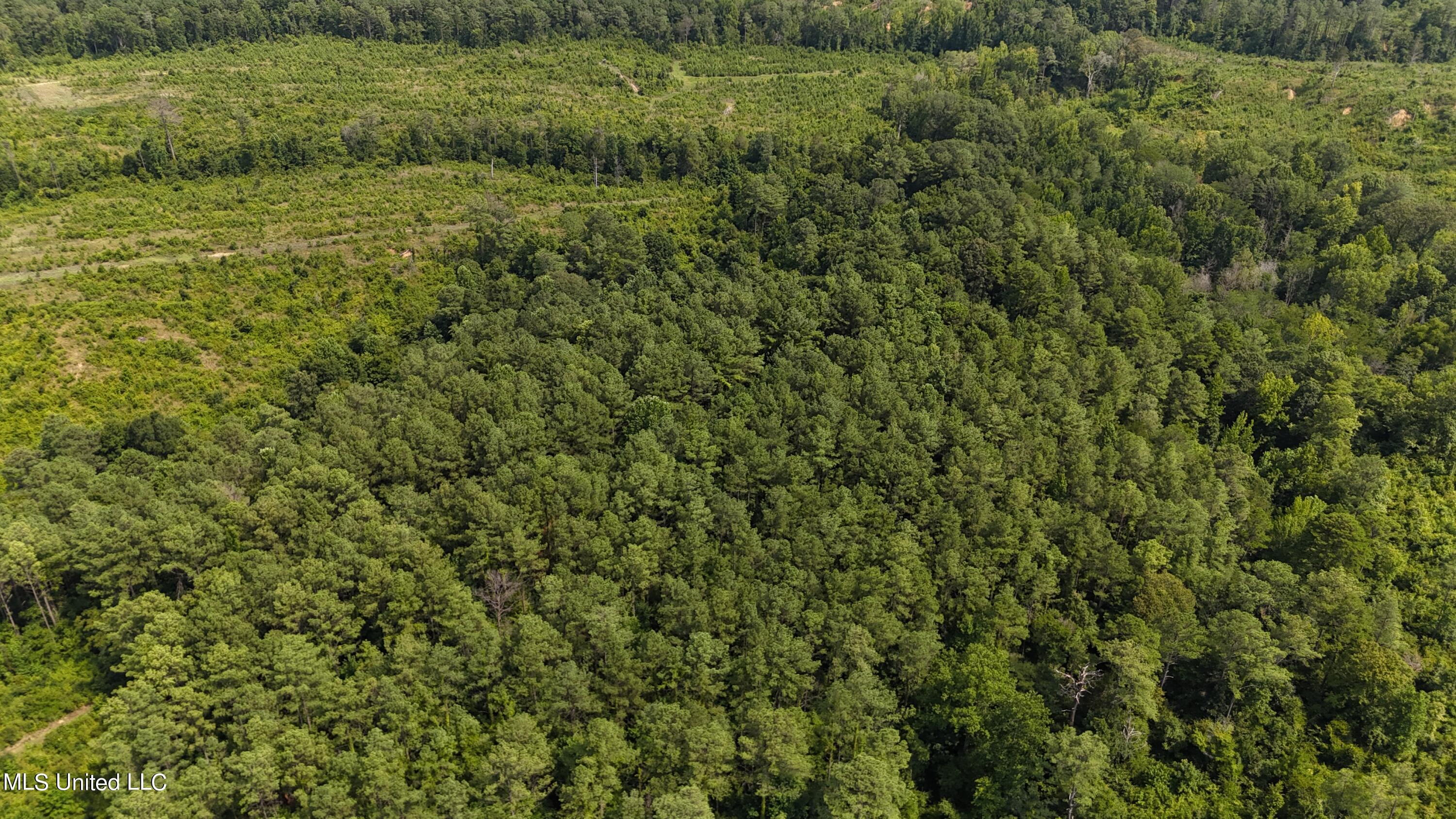 75 Co Road Cruger, MS 38924 - Photo 17 of 51 dji_fly_20240712_152922_0142_17208166366