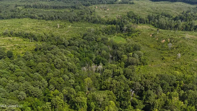 $1,015,250 | 75 Co Road, Cruger, MS 38924