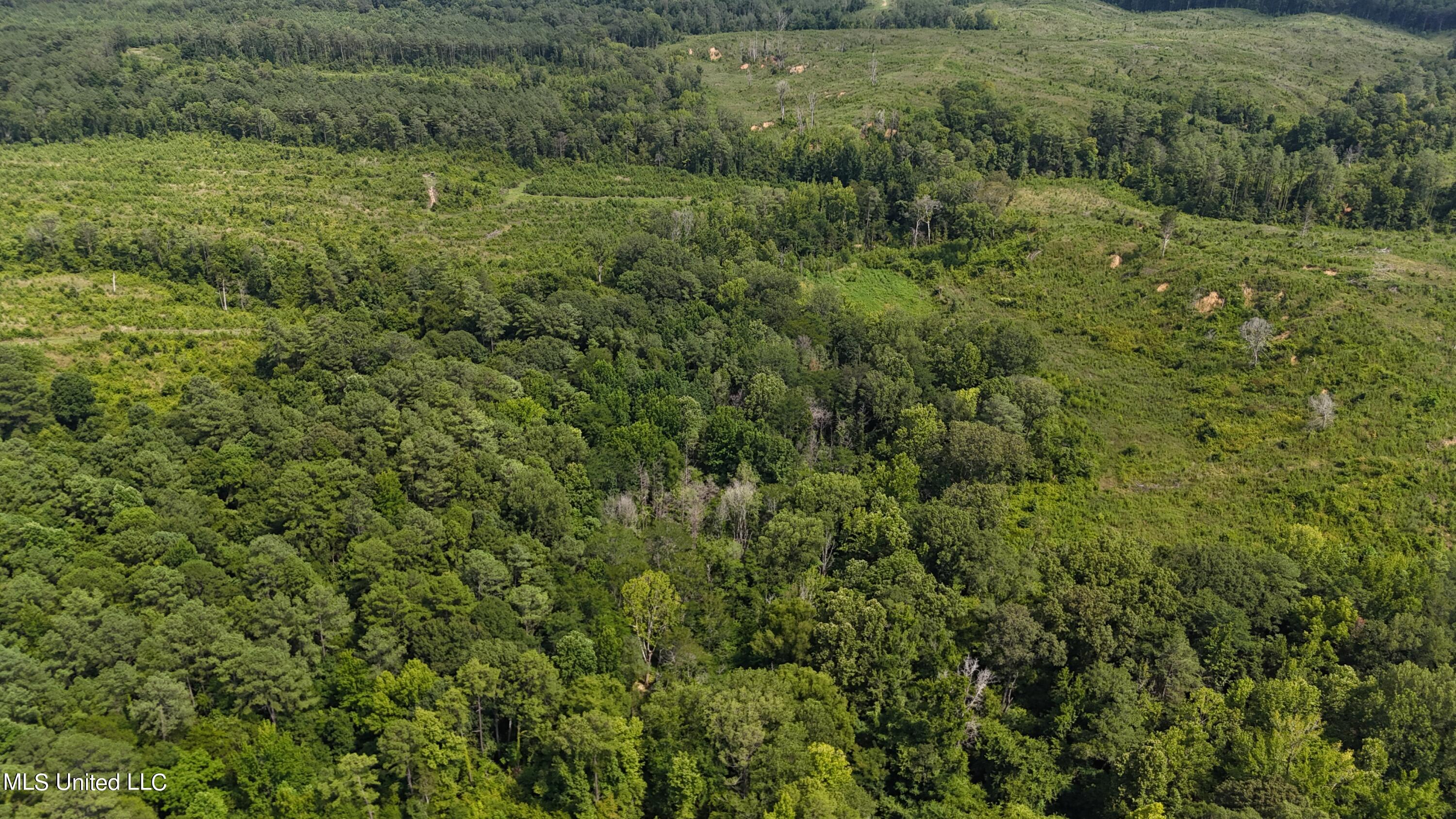 75 Co Road Cruger, MS 38924 - Photo 18 of 51 dji_fly_20240712_152954_0143_17208166382