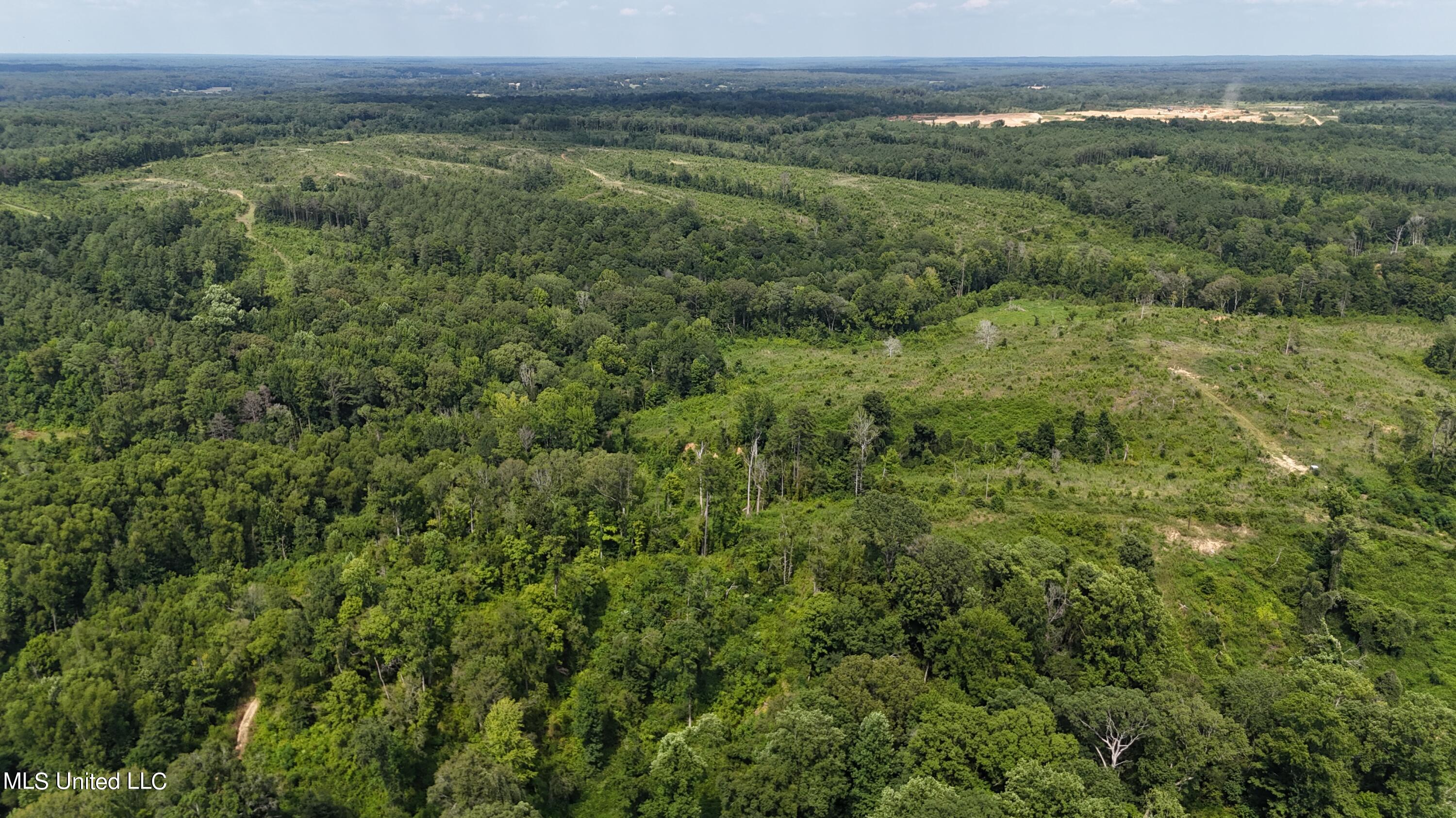 75 Co Road Cruger, MS 38924 - Photo 20 of 51 dji_fly_20240712_153102_0145_17208166411
