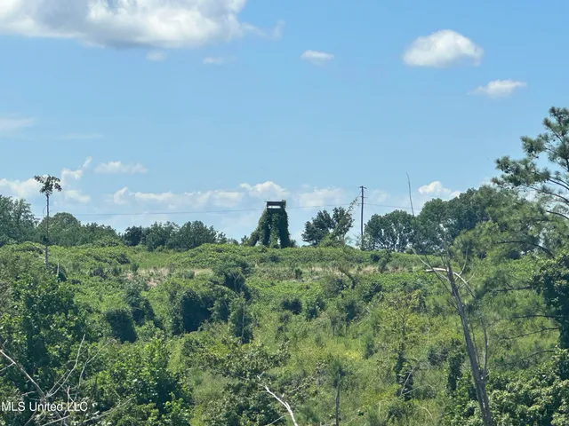 $1,015,250 | 75 Co Road, Cruger, MS 38924