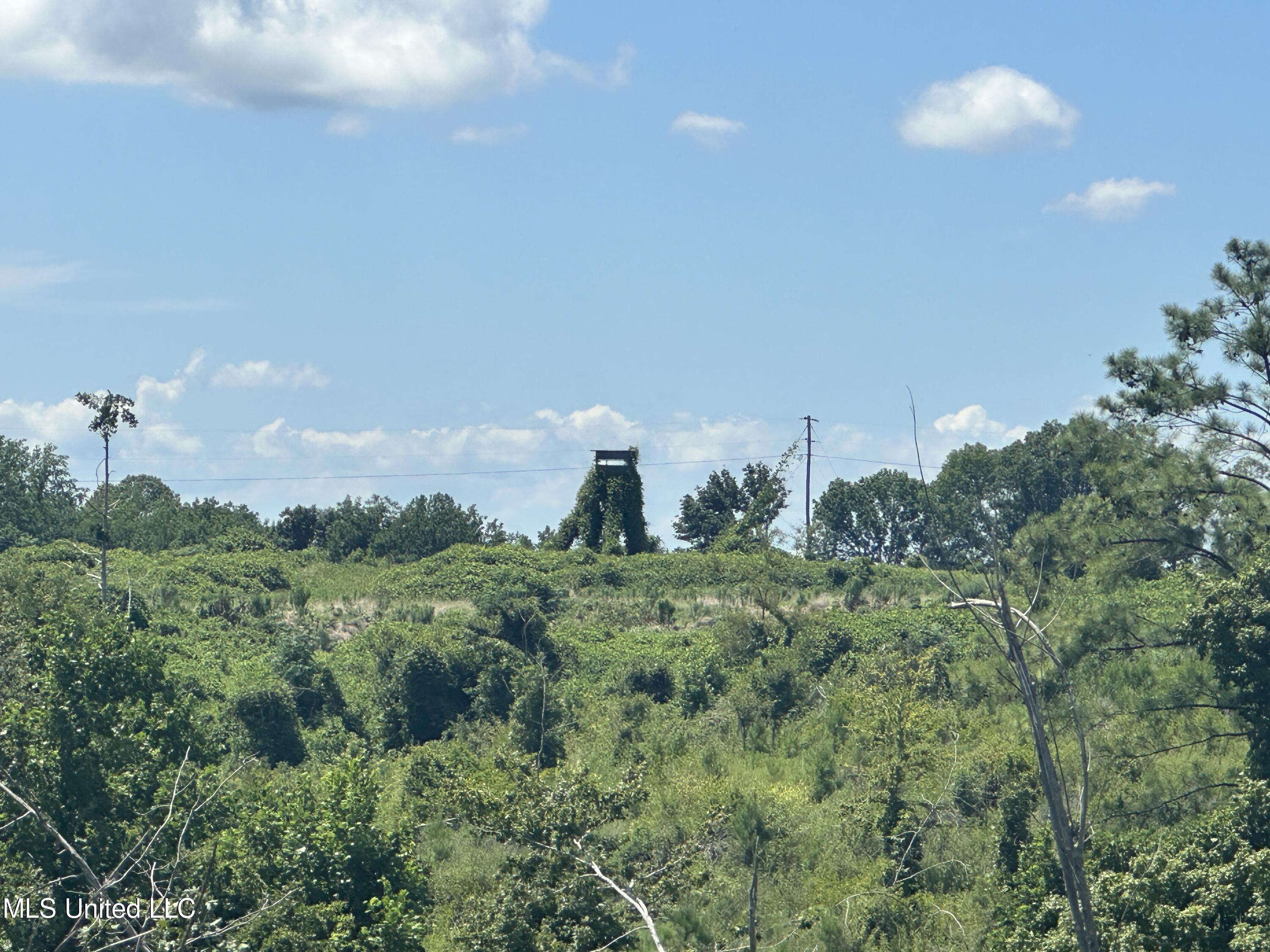 75 Co Road Cruger, MS 38924 - Photo 2 of 51 IMG_3993