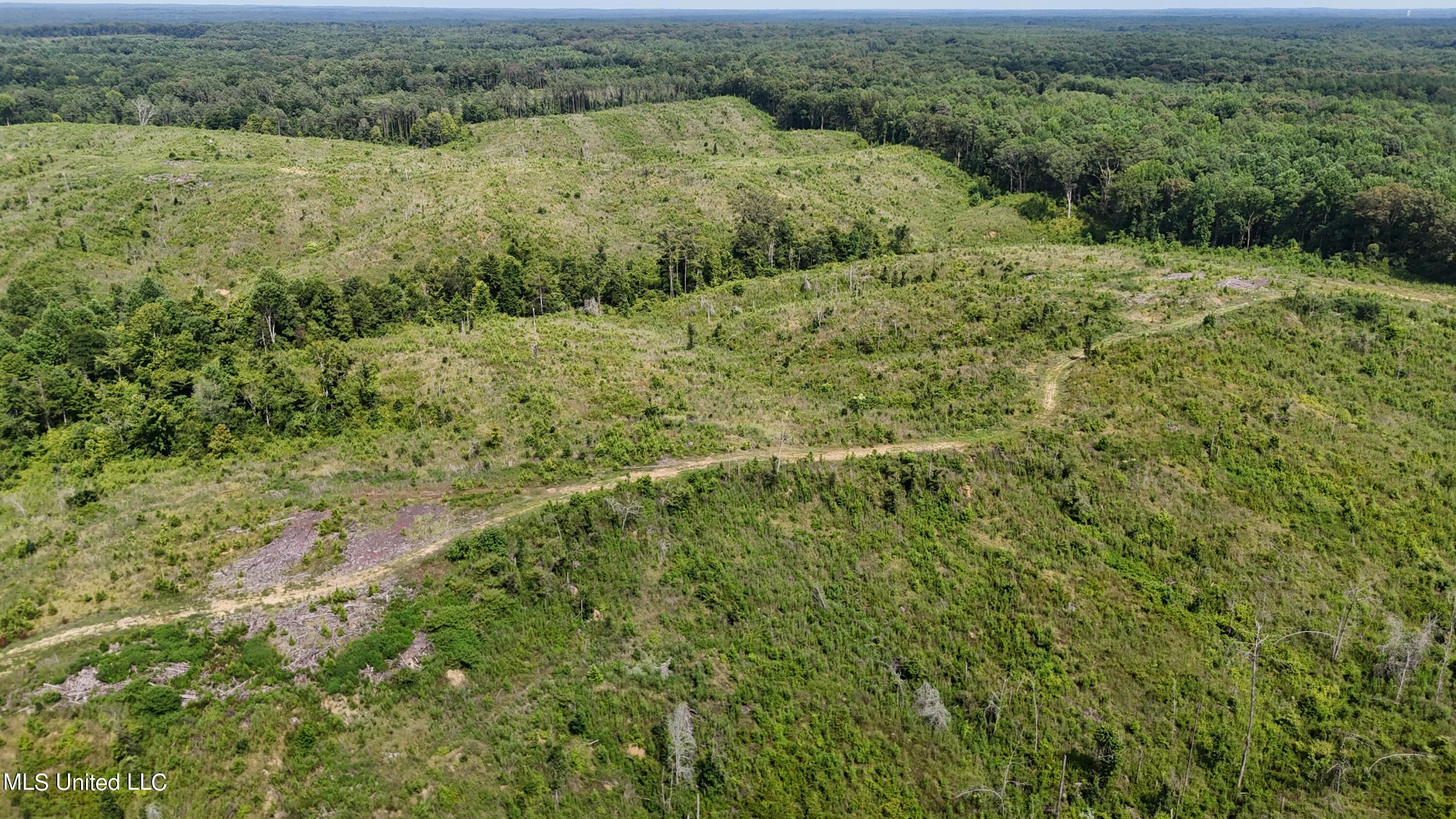 75 Co Road Cruger, MS 38924 - Photo 26 of 51 dji_fly_20240712_153320_0151_17208166501