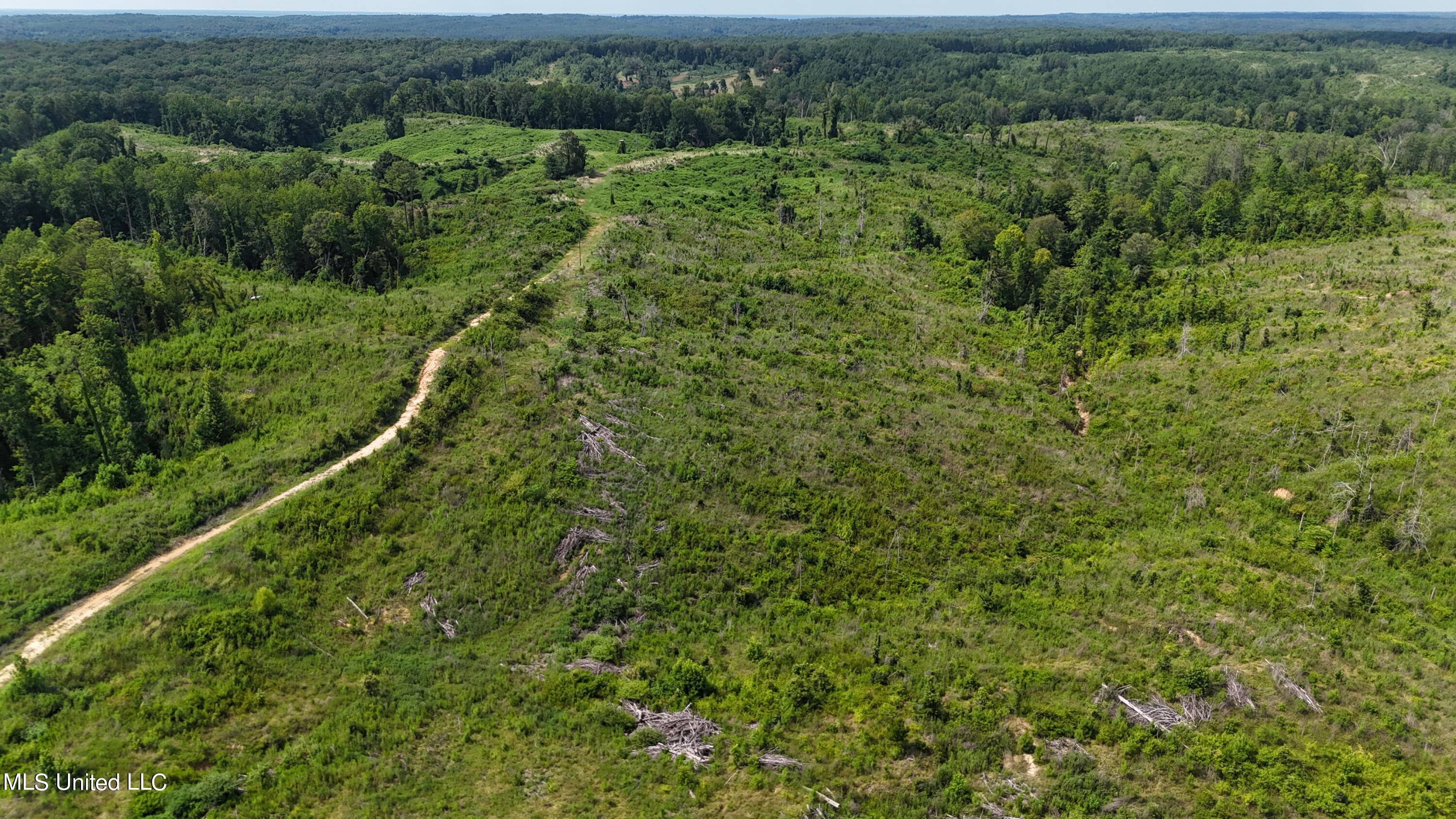 75 Co Road Cruger, MS 38924 - Photo 29 of 51 dji_fly_20240712_153358_0154_17208166582
