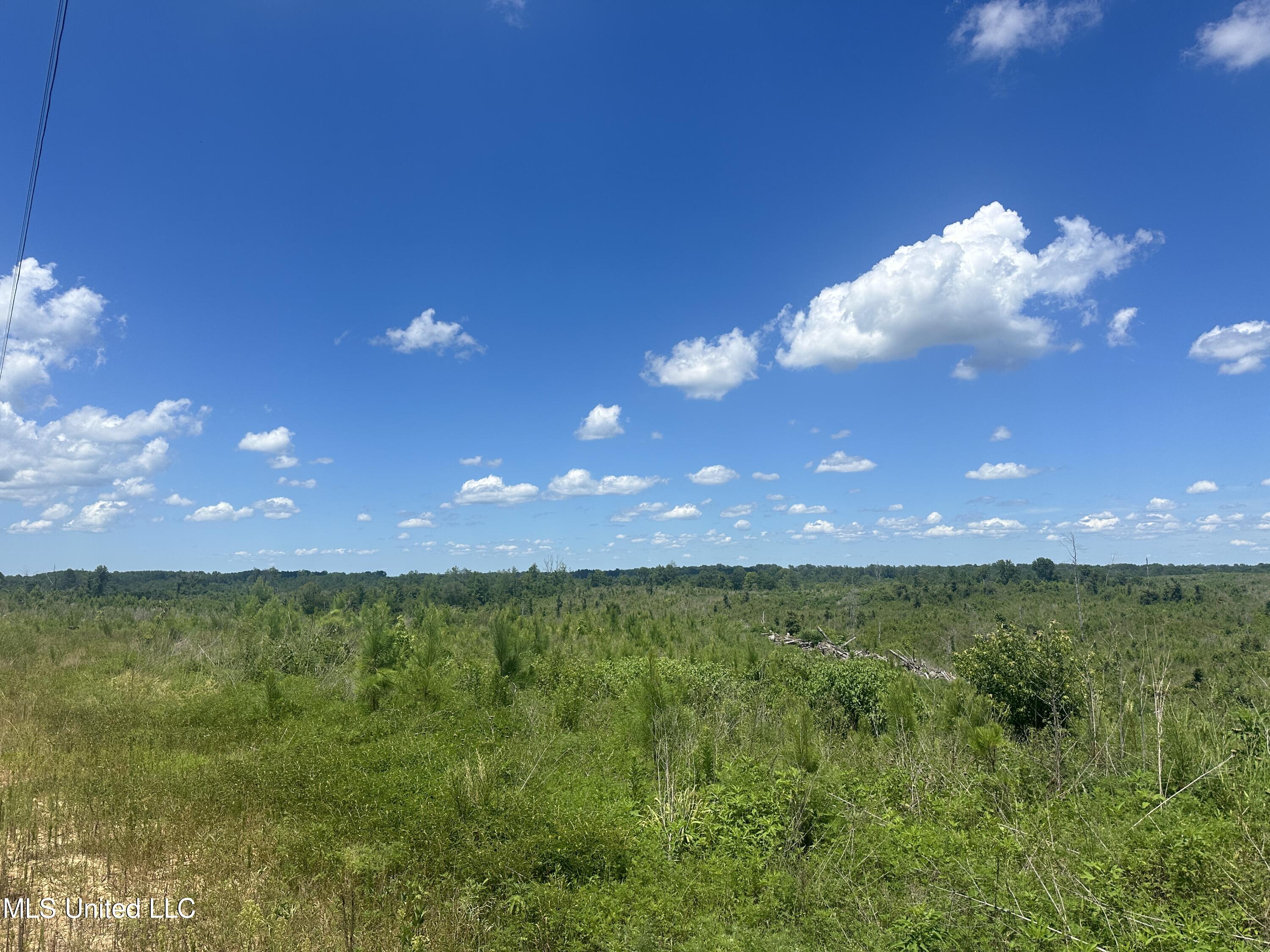 75 Co Road Cruger, MS 38924 - Photo 30 of 51 IMG_3967