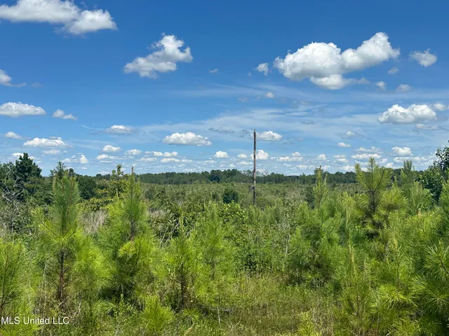 $1,015,250 | 75 Co Road, Cruger, MS 38924