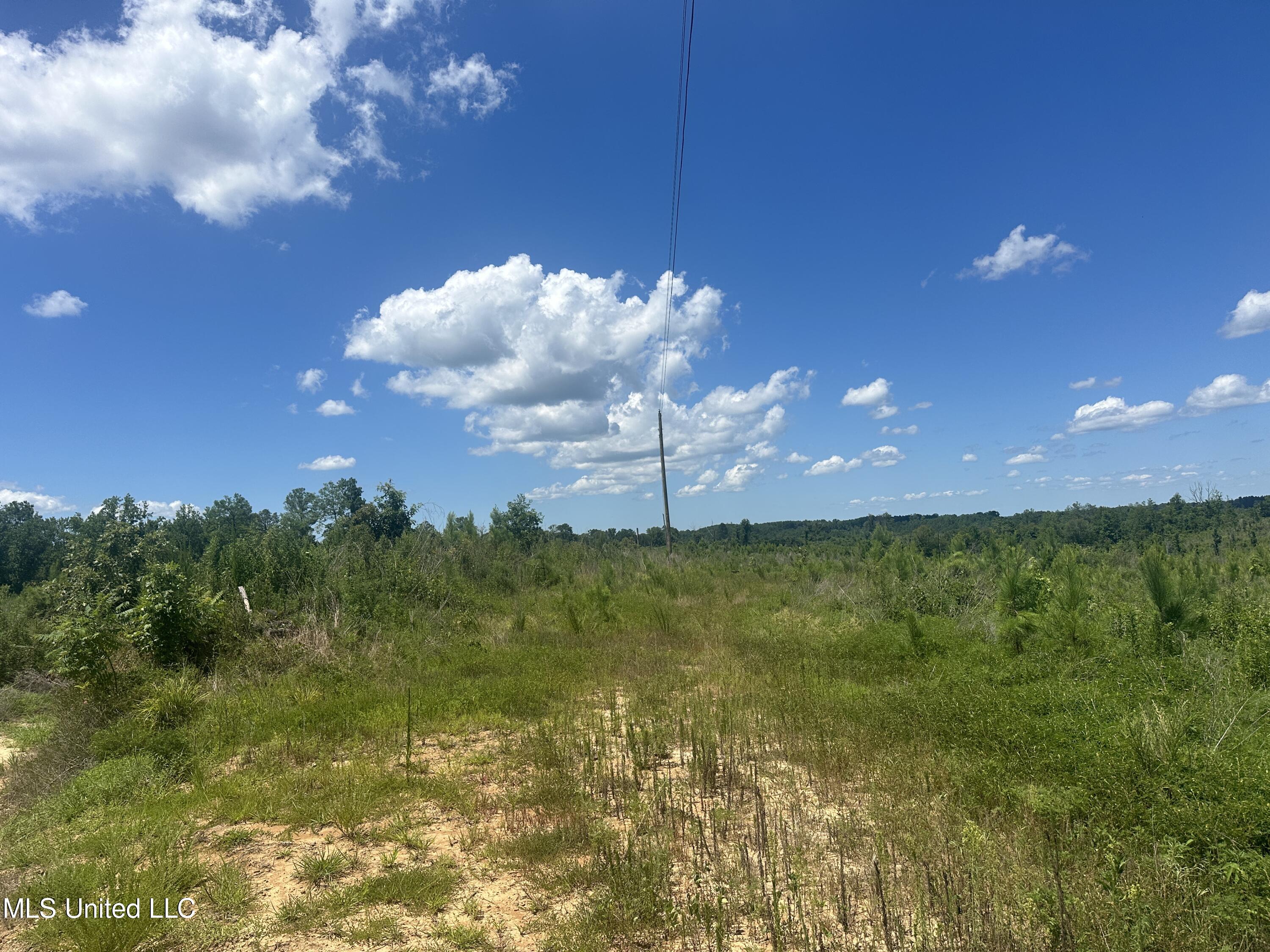 75 Co Road Cruger, MS 38924 - Photo 31 of 51 IMG_3968