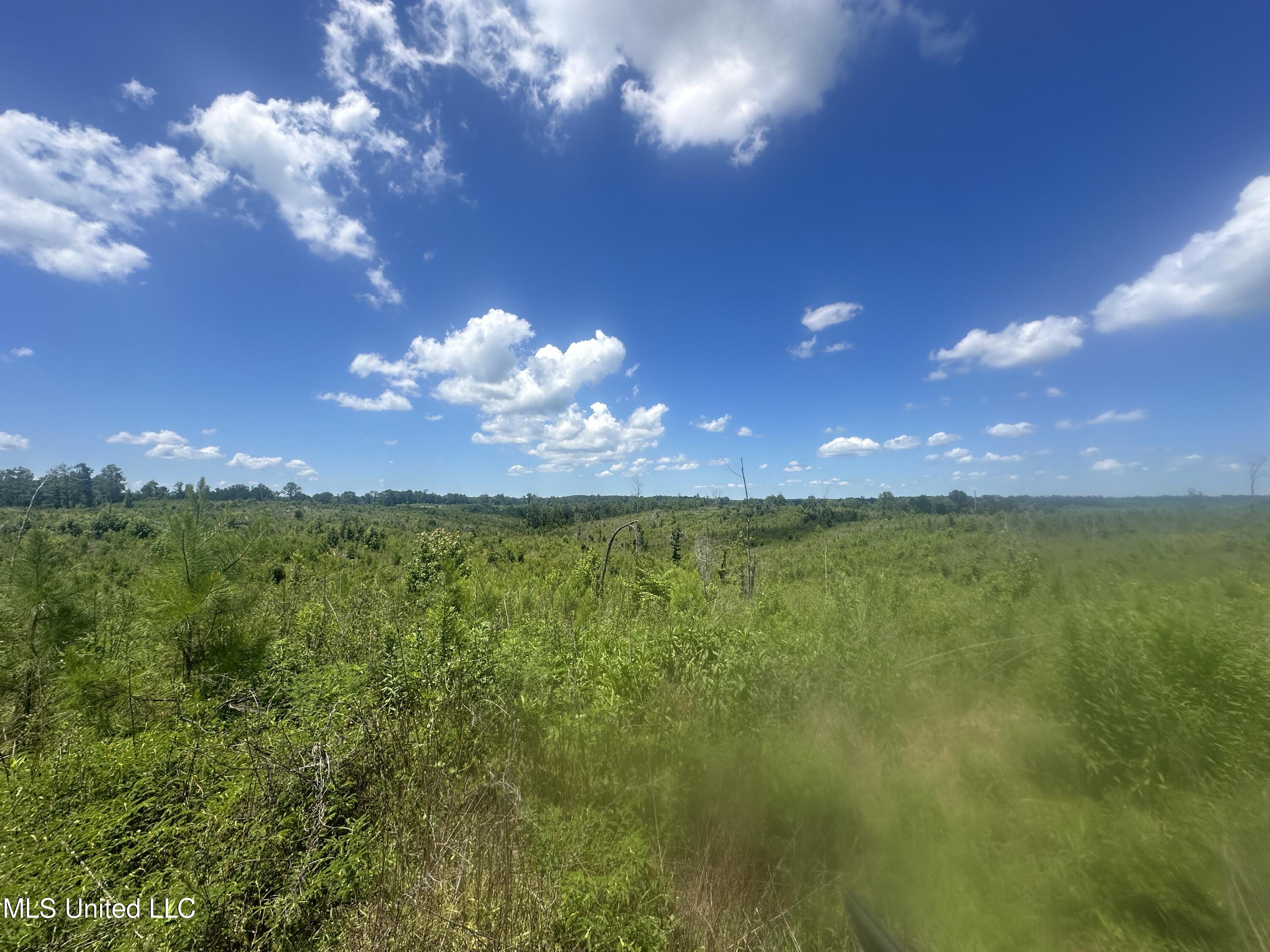 75 Co Road Cruger, MS 38924 - Photo 32 of 51 IMG_3969