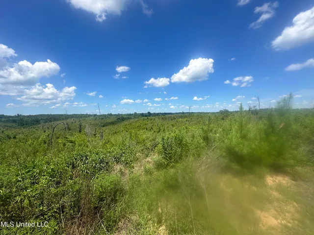 $1,015,250 | 75 Co Road, Cruger, MS 38924