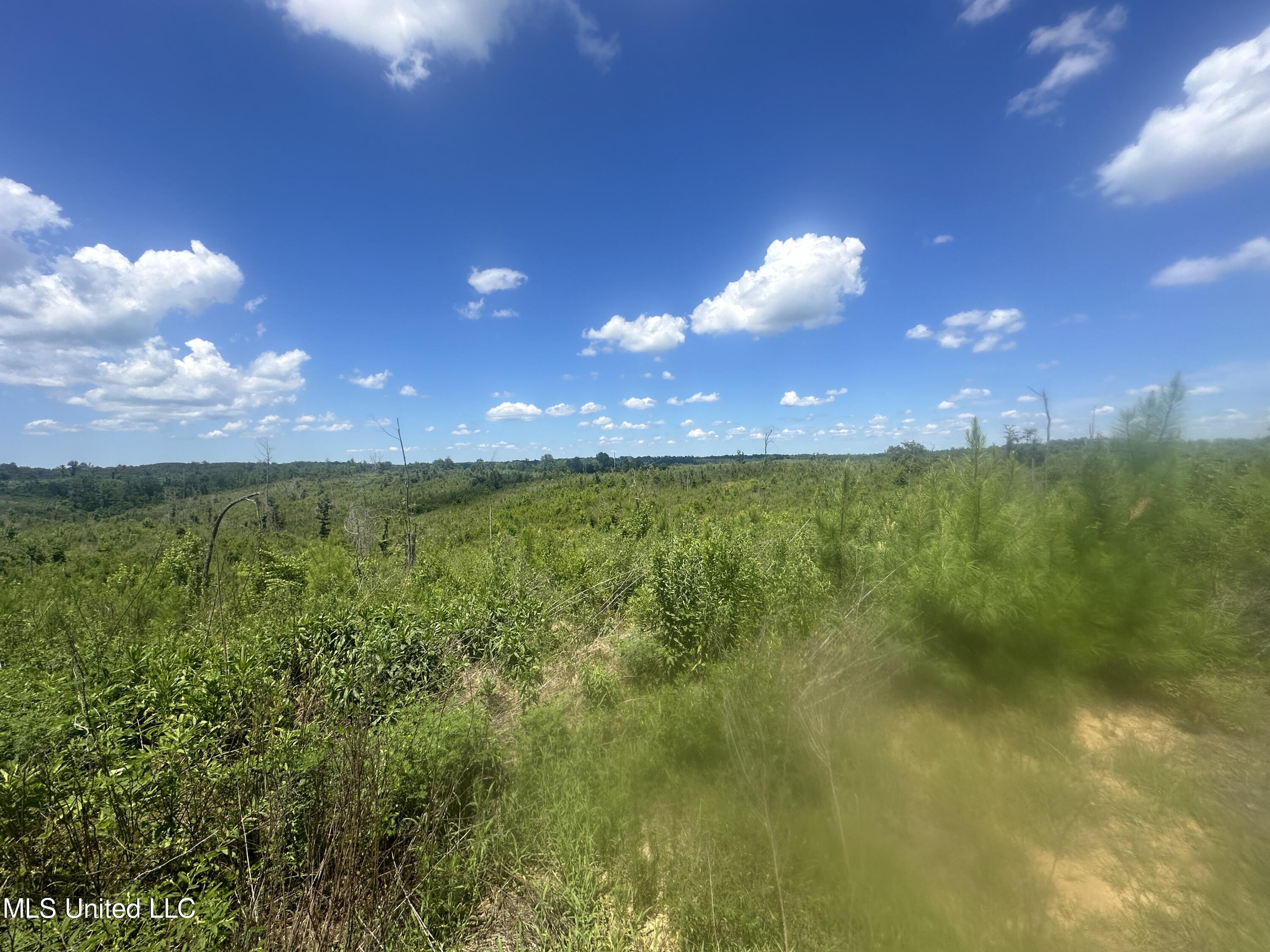 75 Co Road Cruger, MS 38924 - Photo 33 of 51 IMG_3970