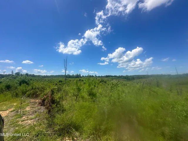 $1,015,250 | 75 Co Road, Cruger, MS 38924