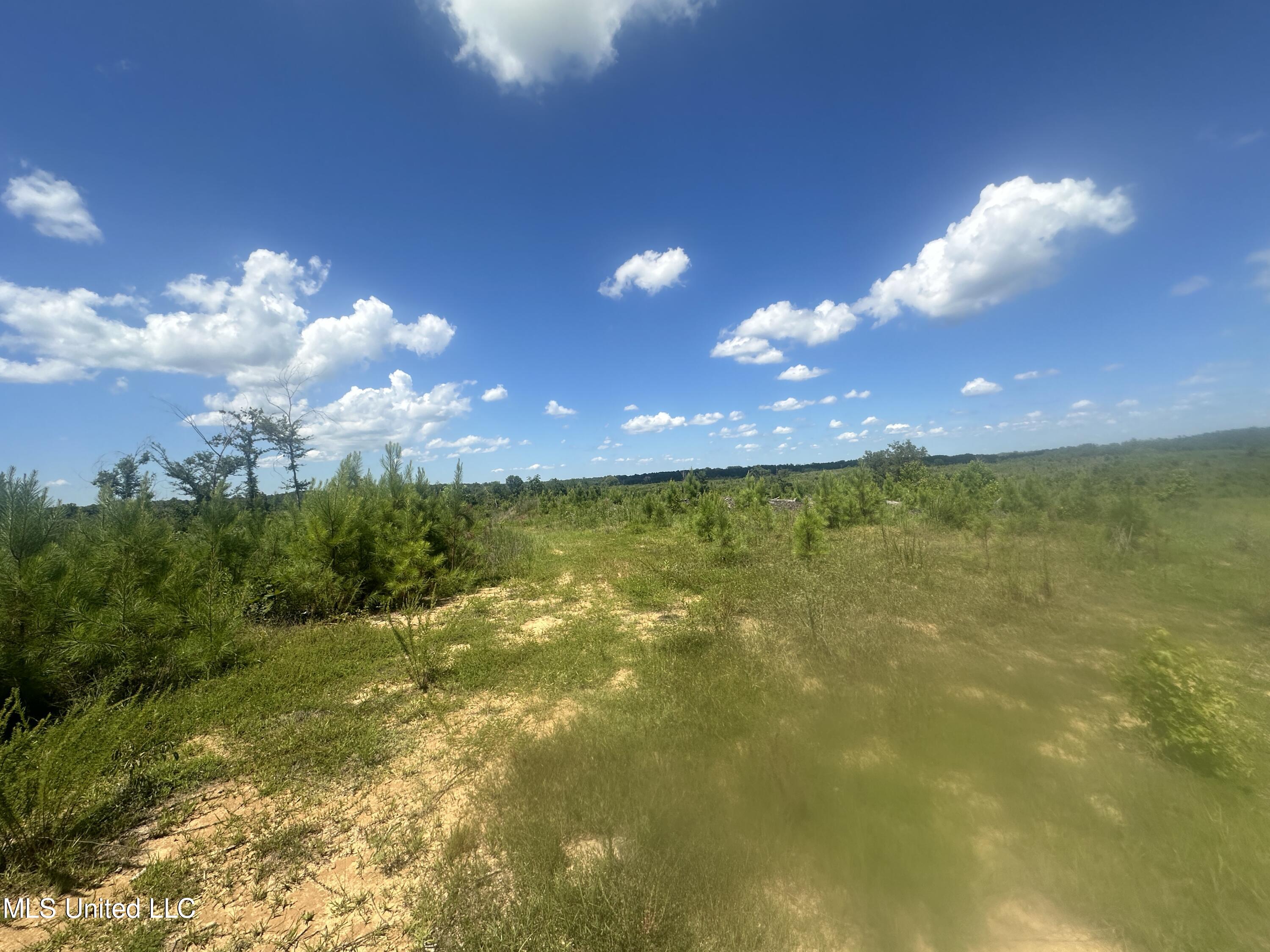 75 Co Road Cruger, MS 38924 - Photo 35 of 51 IMG_3974