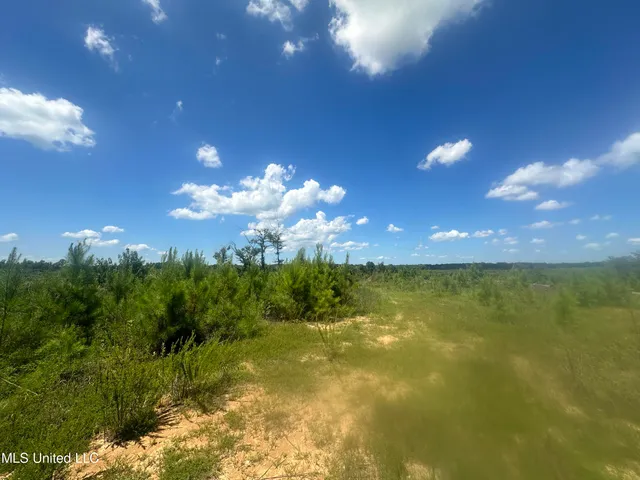 $1,015,250 | 75 Co Road, Cruger, MS 38924