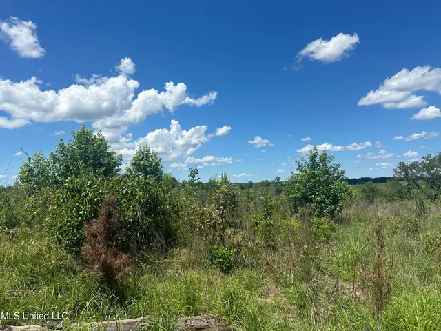 $1,015,250 | 75 Co Road, Cruger, MS 38924