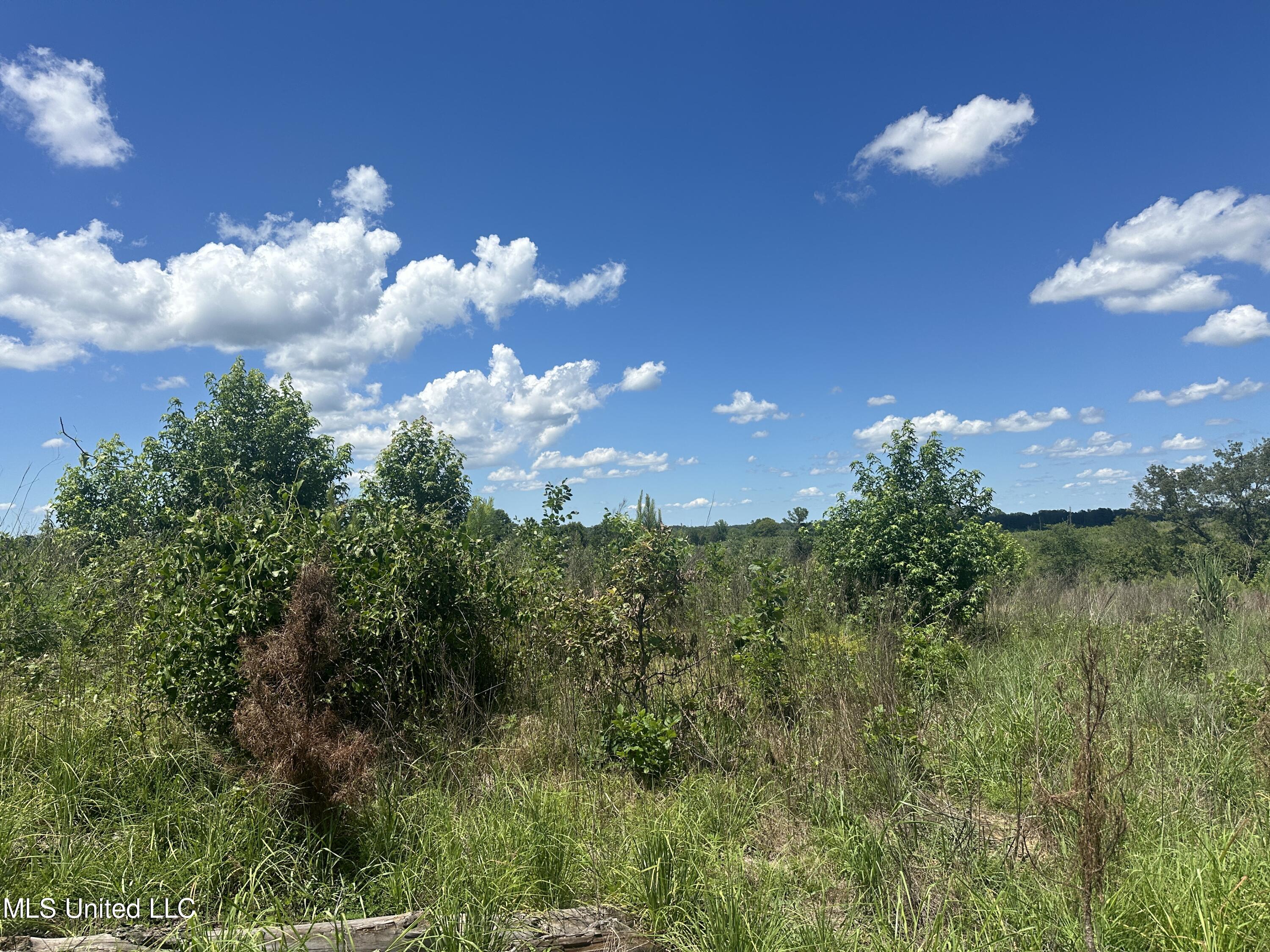 75 Co Road Cruger, MS 38924 - Photo 38 of 51 IMG_3978