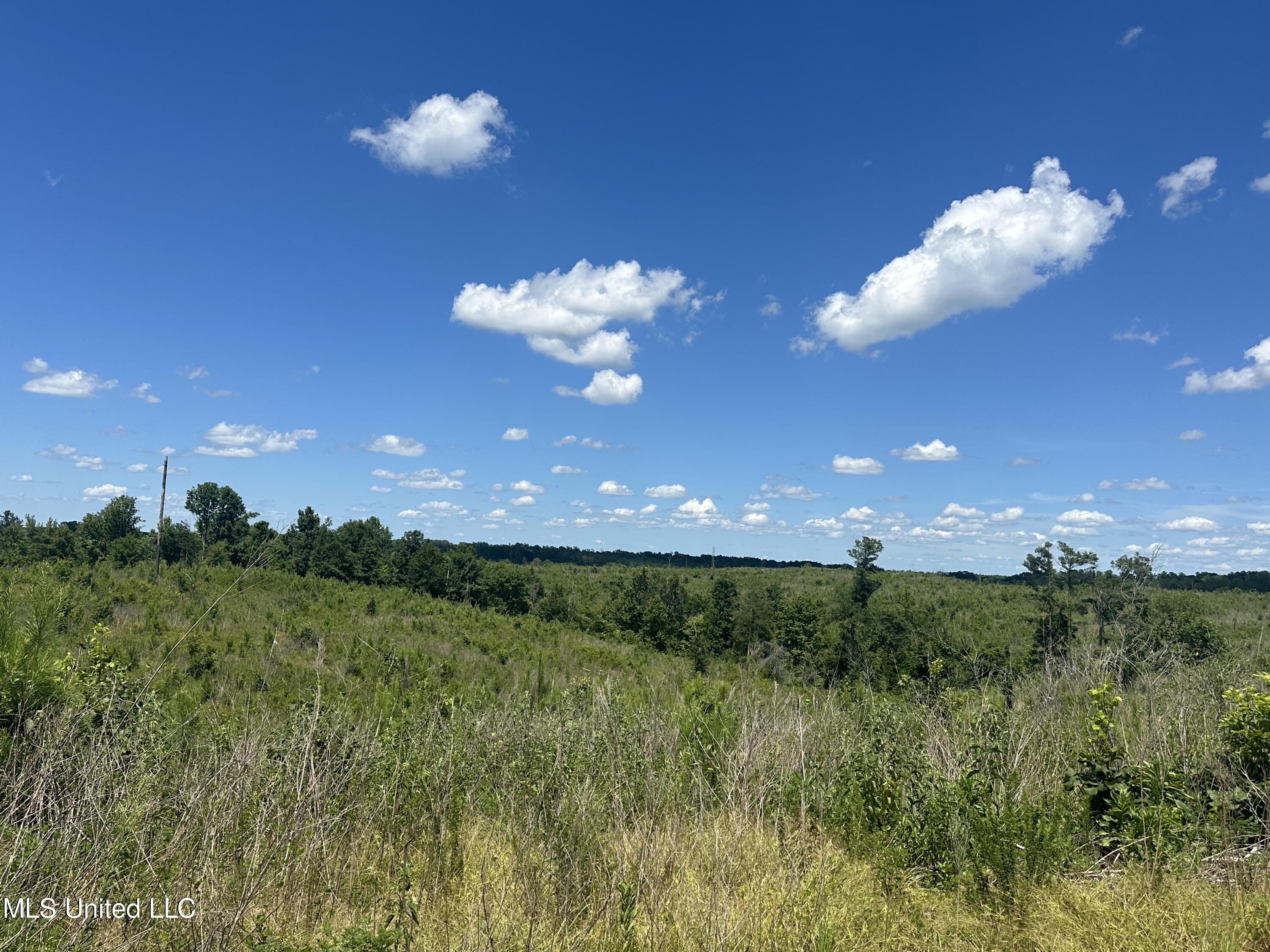 75 Co Road Cruger, MS 38924 - Photo 39 of 51 IMG_3979