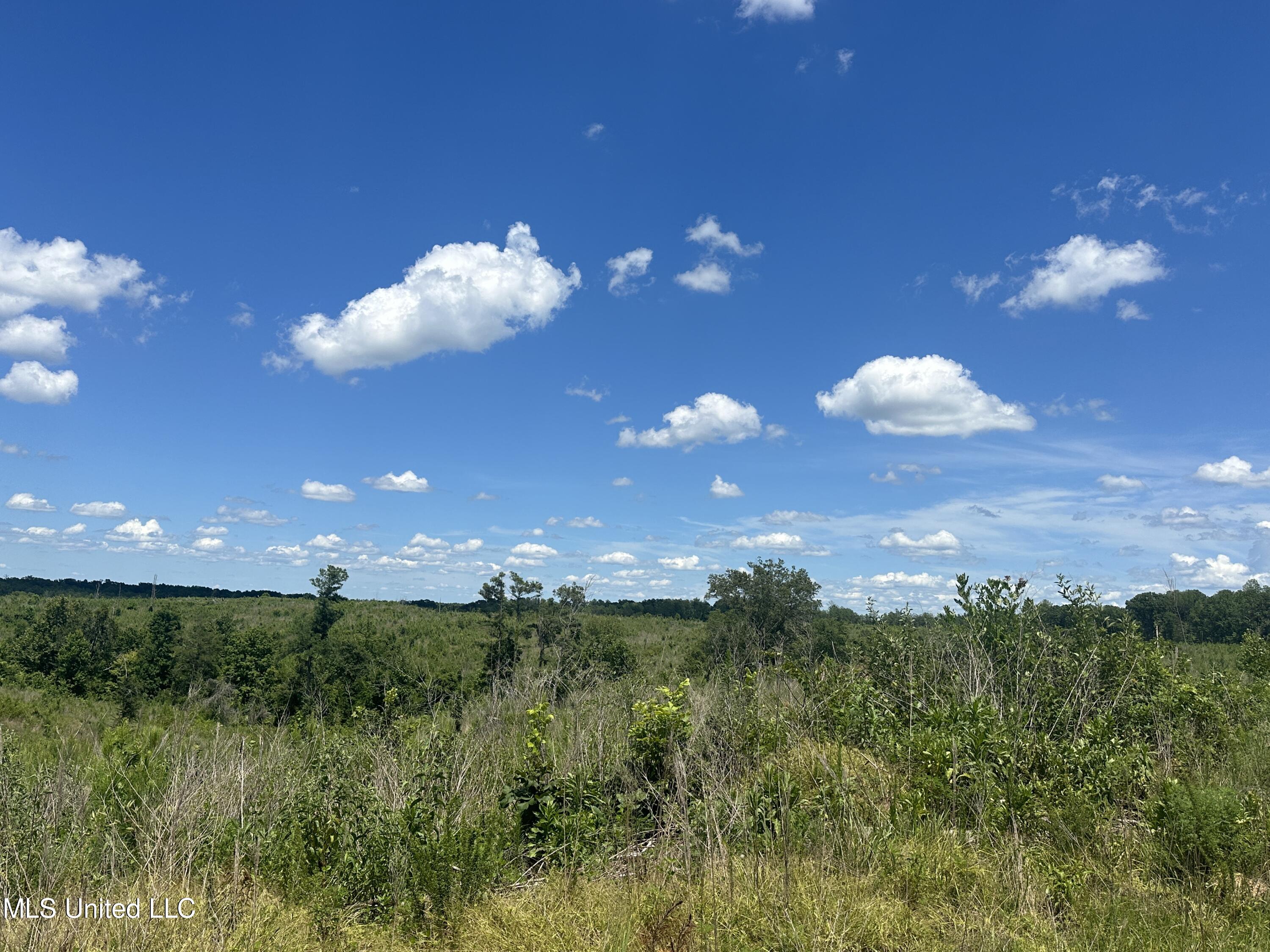 75 Co Road Cruger, MS 38924 - Photo 40 of 51 IMG_3980