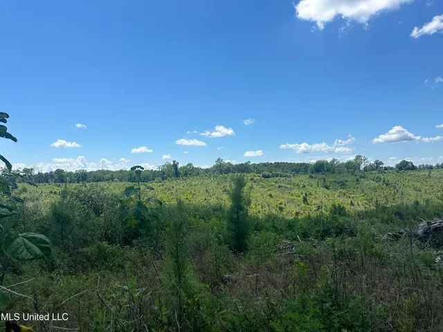 $1,015,250 | 75 Co Road, Cruger, MS 38924